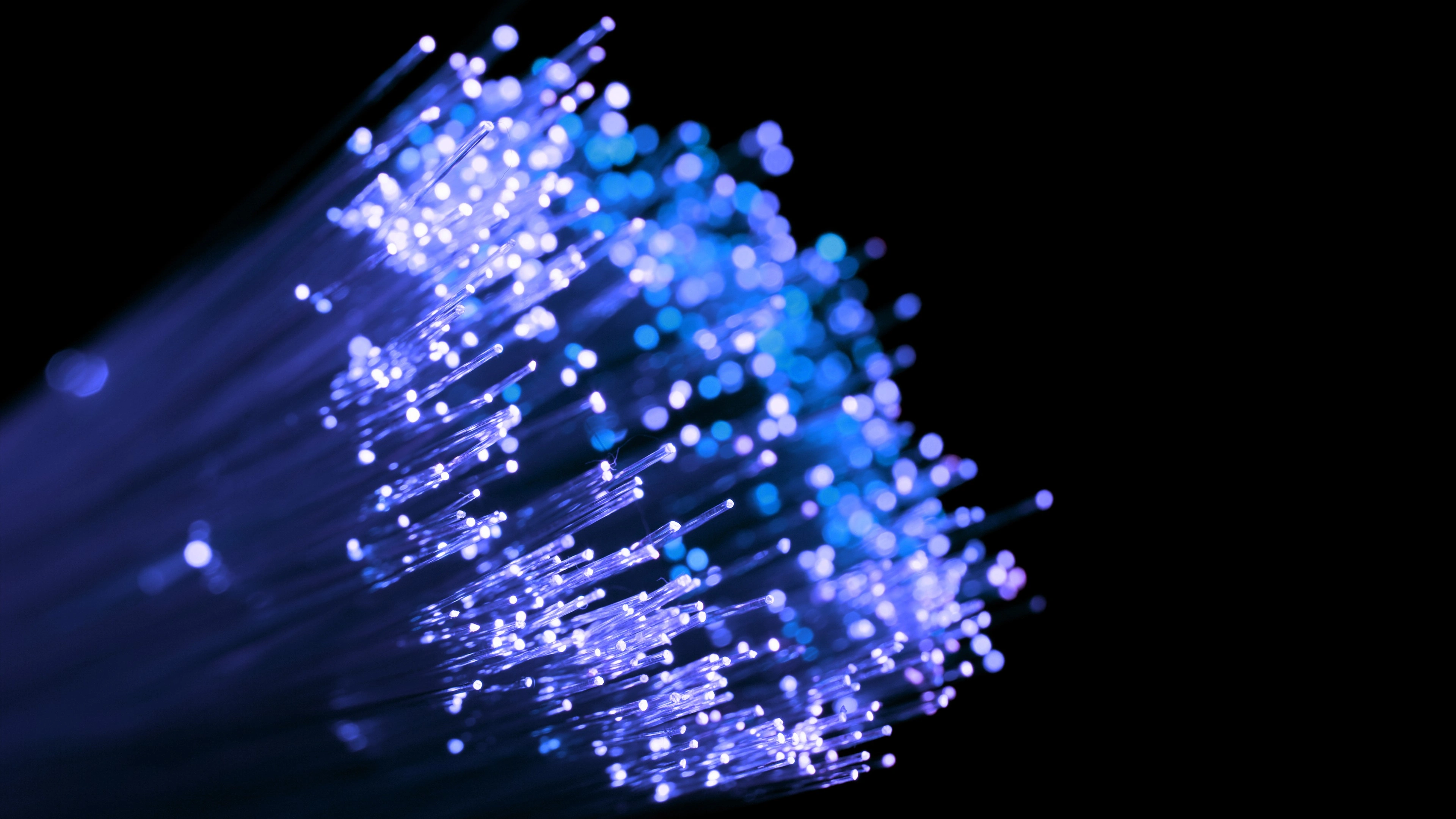 Glowing fiber-optic network in deep violet and purple tones